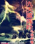 九天莲生作者万灭之殇