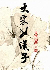 大宋女汉子女主和谁在一起了