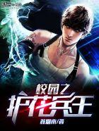 校园之护花兵王无弹窗