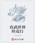 真武世界新书
