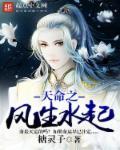 什么是天命风流