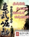 真武道崛起TXT