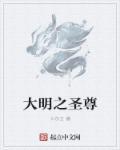 大明双圣价格