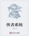 系统侠