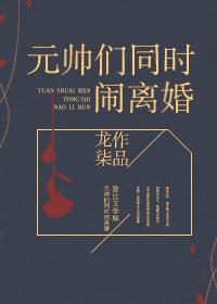 元帅们同时闹离婚免费阅读