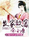 穿越之歆有容泽的
