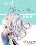 哈喽小姐普通话版