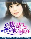 总裁他是偏执狂陆小絮