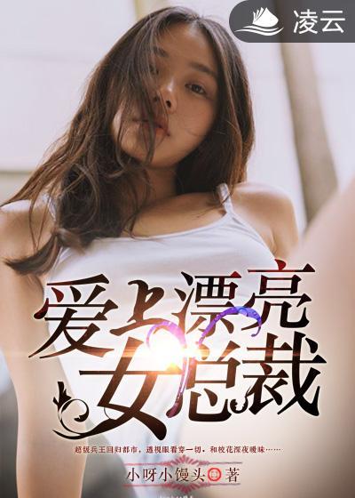 爱上漂亮女总裁林峰叶