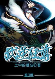 武逆全本