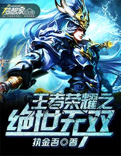 王者荣耀之绝世无双夏新