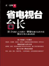 省电视台台长权力大吗
