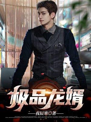 极品龙婿龙辰全文免费阅读