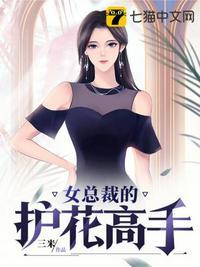 女总裁的护花高手共100集