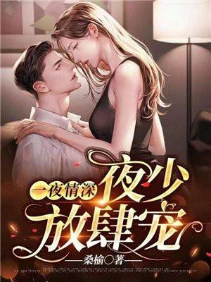 正版一夜情深霍少放肆宠