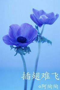 沈初云陆进年龄
