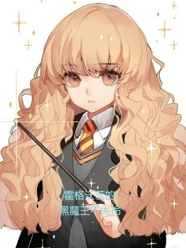 霍格沃茨的教授是黑魔王很正常嘛