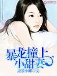 暴龙遇上小甜妻全文