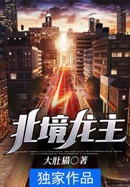 北境龙主宁风全文