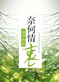 奈何情衷by沐声番外