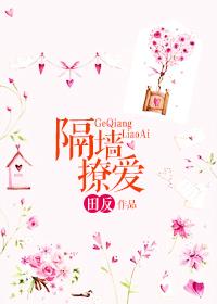 隔墙撩爱免费阅读