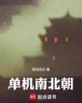 单机南北朝在线观看