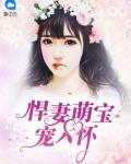 悍妻萌宝宠入怀免费阅读