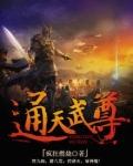 通天武尊杨辰女主