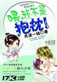 我不是抱枕免费阅读