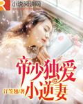 帝少独爱小逆妻全文阅读