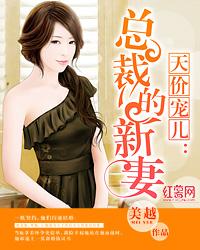 天价宠儿总裁的新妻洛一心