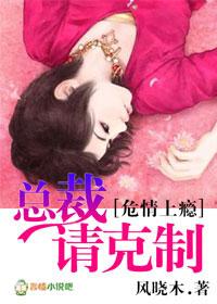 危情总裁请克制 百度